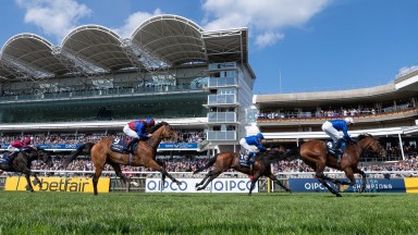Coroebus, stablemate Native Trail and Luxembourg, the first three home in the 2,000 Guineas at Newmarket, look sure to play a big part in major races throughout the season