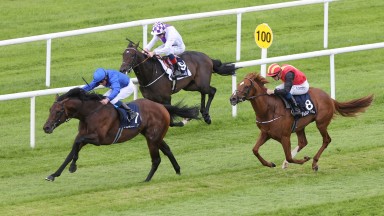 Curragh Sat 21 May 2022Native Trail ridden by William Buick winning The Tattersalls Irish 2,000 Guineas from New Energy ridden by Billy Lee, 2nd, Imperial Fighter ridden by Ben Coen, 3rd, extreme right of picture, and Wexford Native ridden by Kevin Mannin