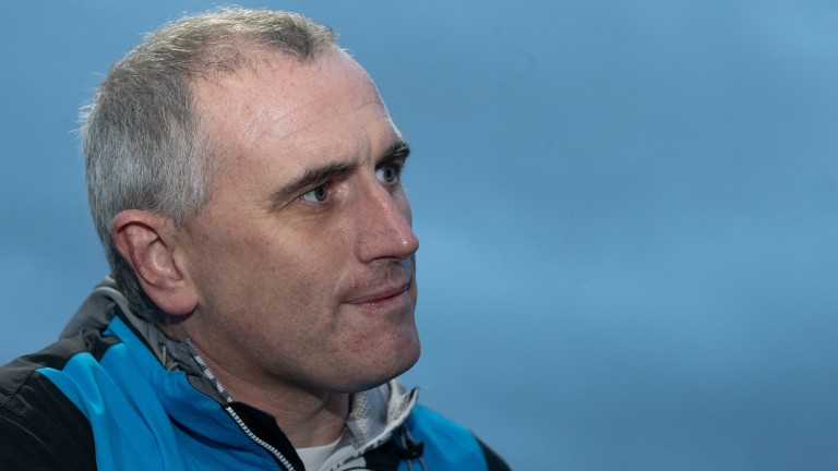 James McAuley: el entrenador de Dublín pierde a Godhead y a Da Vinci en un extraño incidente