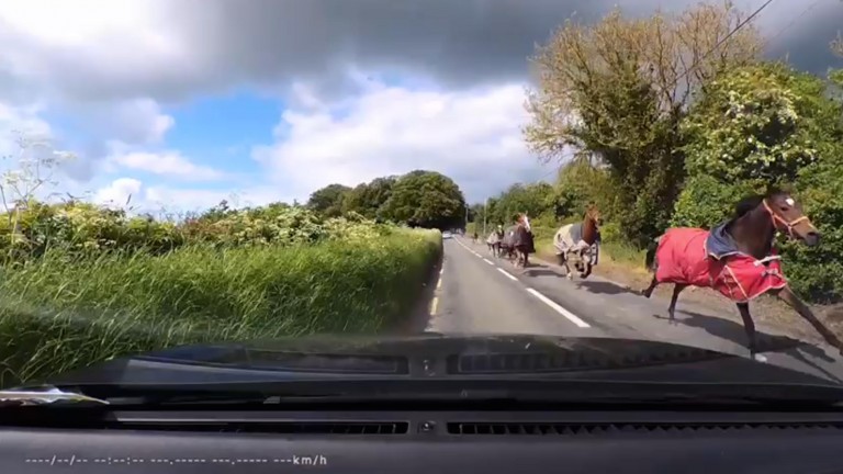 Dashcam footage shows the horses running at pace down a road