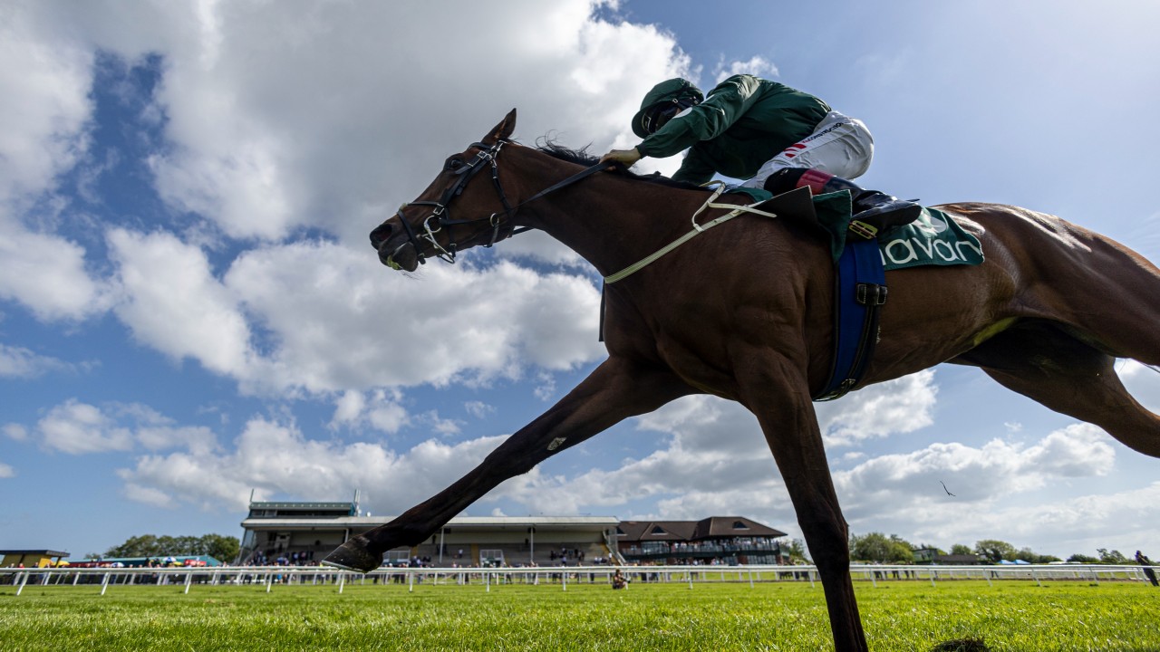 Irish oaks betting 2022 oscar how to trade crypto on etoro