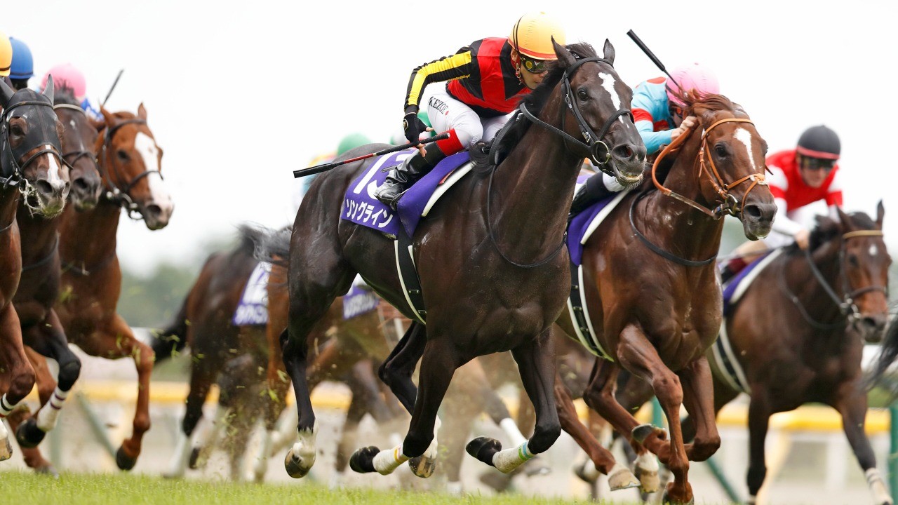Yasuda kinen betting advice ethereum price tomorrow