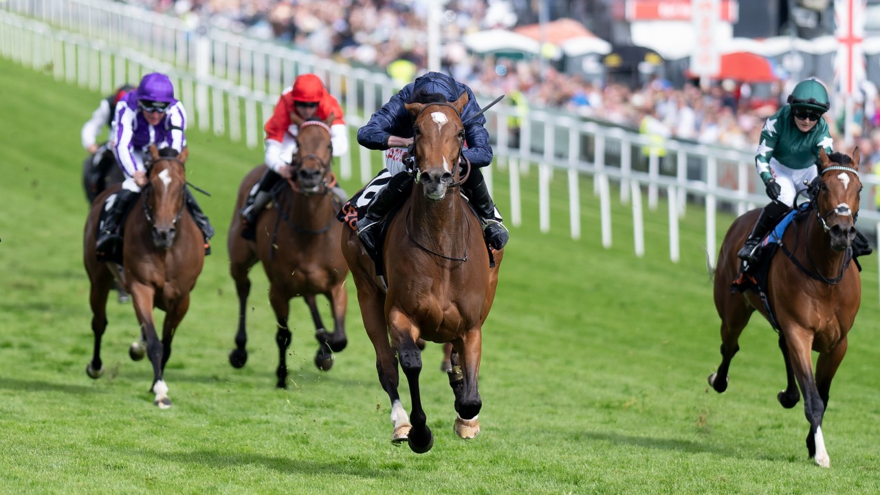 Irish oaks 2022 betting trends 16nm bitcoin miner