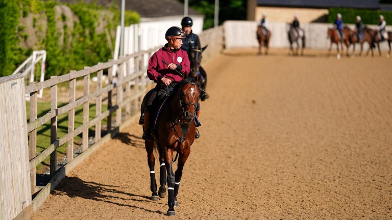 Grenadier Guards à la base de Newmarket de Roger Varian