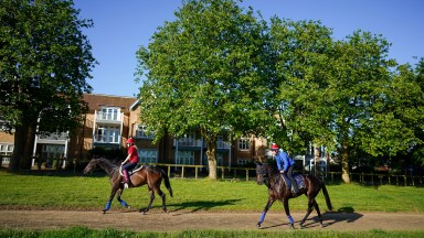 NEWMARKET, ENGLAND - JUNE 09: The Australian horse Artorius (R) stabled at Charlie Fellowes Bedford House yard makes its way to the Side Hill gallop during a Royal Ascot media morning for international challengers at Newmarket Racecourse on June 09, 2022