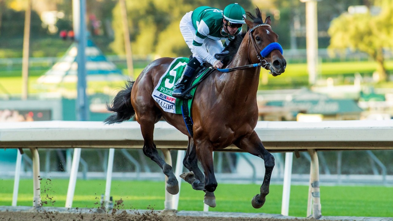 Better than Baaeed? Flawless Flightline soars to 19length rout at Del