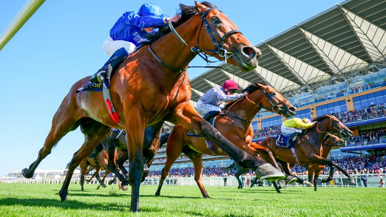 Coroebus just gets up to deny Lusail (centre) in a tight finish to the St James's Palace