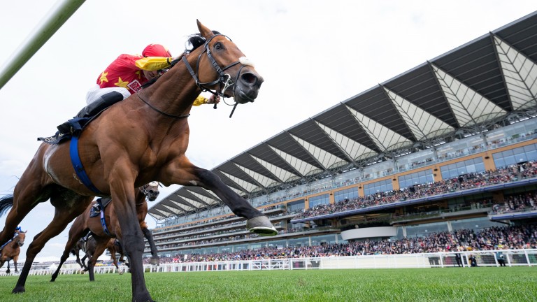 Estado de descanso: el campeón Prince of Wales's Stakes gana el Saratoga Derby Invitational Stakes