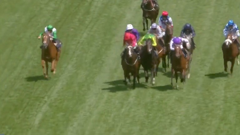 The Ridler (red silks) continues to hang to his left and starts to come across Brave Nation