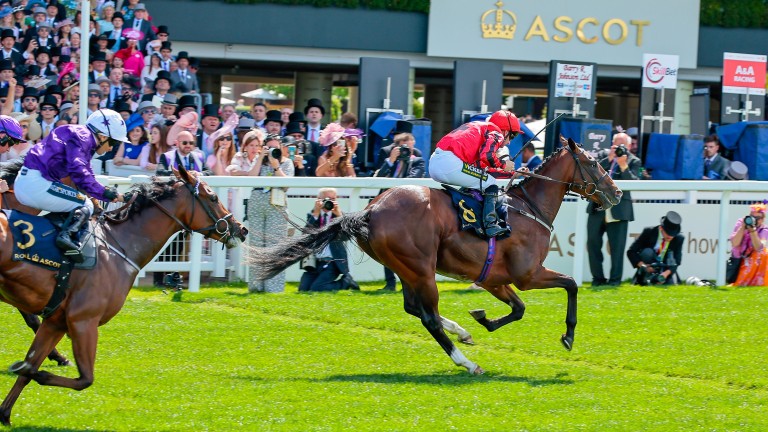 Crispy Cat (left) was badly hampered by 50-1 shot The Ridler in a dramatic Norfolk Stakes