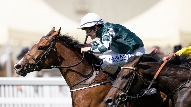 Magical Lagoon: Ganador del Campeonato Royal Ascot la última vez