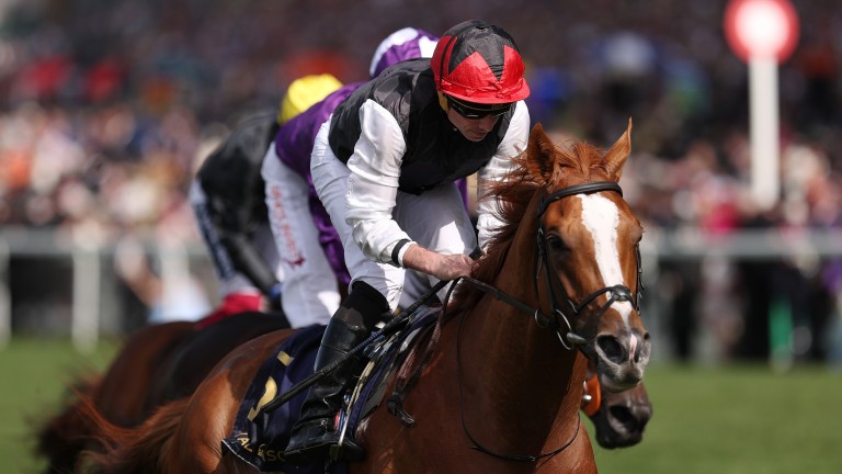 Kyprios: provided trainer Aidan O'Brien with an eighth win in the Gold Cup