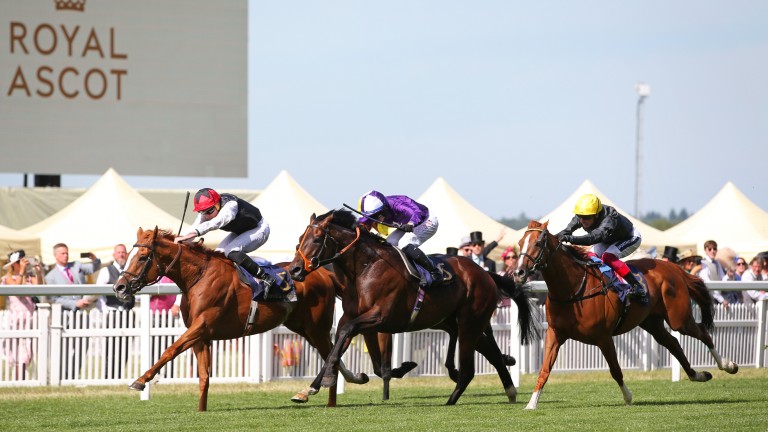 Frankie Dettori in the black silks on Stradivarius (right) fails to catch Kyprios and Mojo Star in the Gold Cup