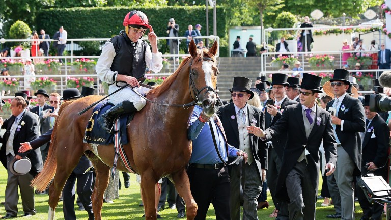 Kyprios: Gold Cup-winning son of Galileo