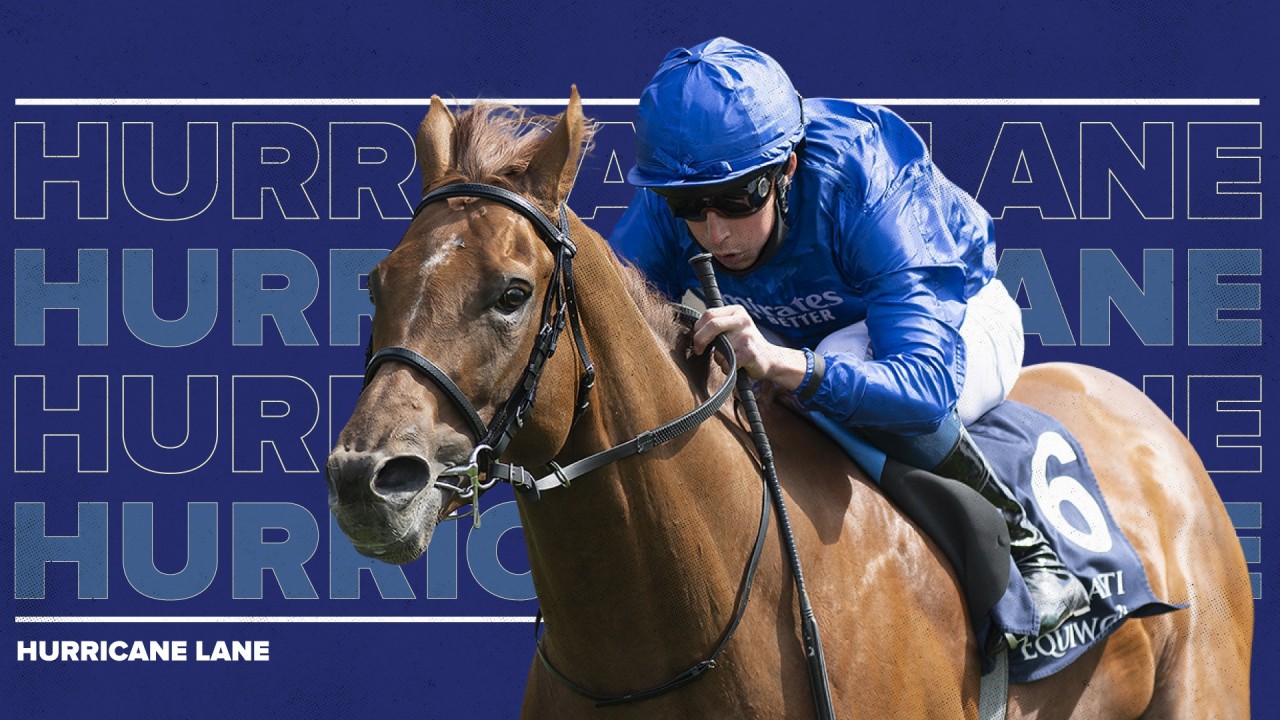 Will Hurricane Lane be fully tuned up on his return in Hardwicke? Horse Racing News Racing Post