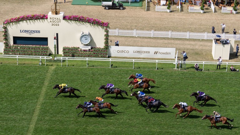 Perfect Power leads home the Commonwealth Cup field
