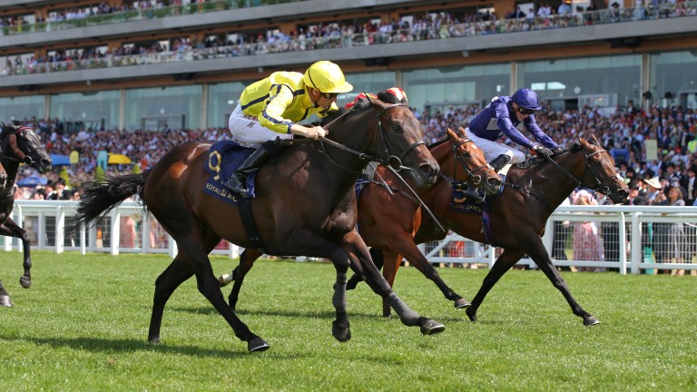 Perfect Power (near): held on well in the Commonwealth Cup