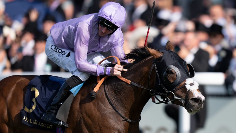 Grand Alliance: A second Royal Ascot is on the Leger's way