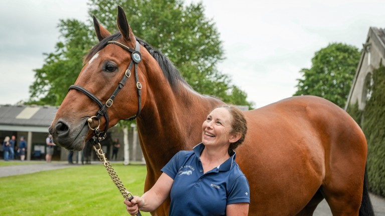 Marie Harding and the Sholokhov gelding who shares his breeders with Noble Yeats