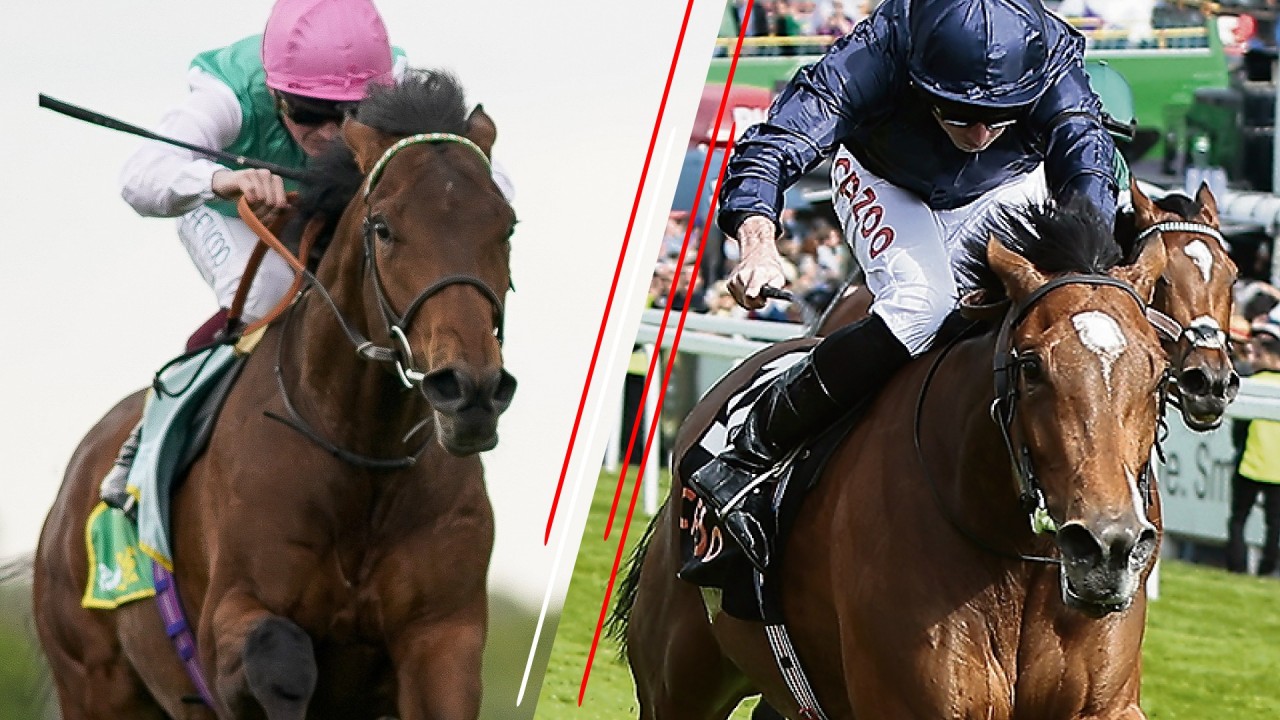 Irish derby betting 2022 presidential election bitcoin millionaire overnight