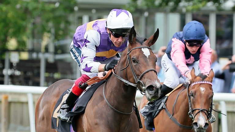 Lezoo: will be reunited with Frankie Dettori in the Duchess of Cambridge Stakes at Newmarket on Friday