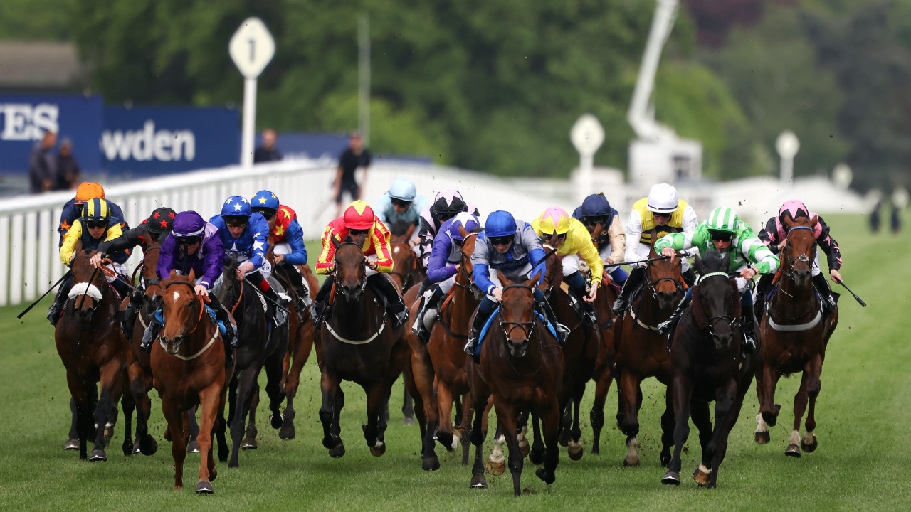 trainer bidding site