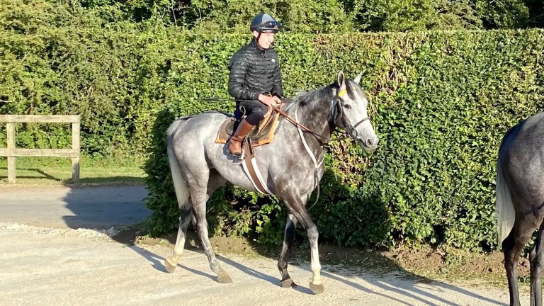 Alpinista et Luke Morris mardi matin