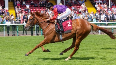 DESERT HERO and Tom Marquand wins at HAYDOCK PARK 30/6/22Photograph by Grossick Racing Photography 0771 046 1723