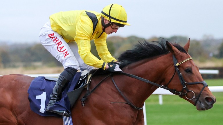 Gaassee: a live chance in the Ebor for William Haggas