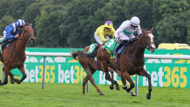 FREE WIND and Rab Havlin wins at HAYDOCK PARK 2/7/22Photograph by Grossick Racing Photography 0771 046 1723