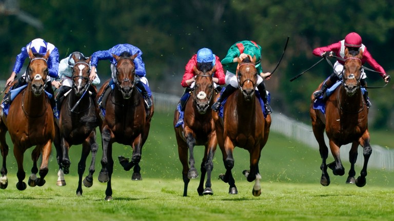 Mishriff (far right) ran strongly to take second place in the Coral Moon Race under David Egan.