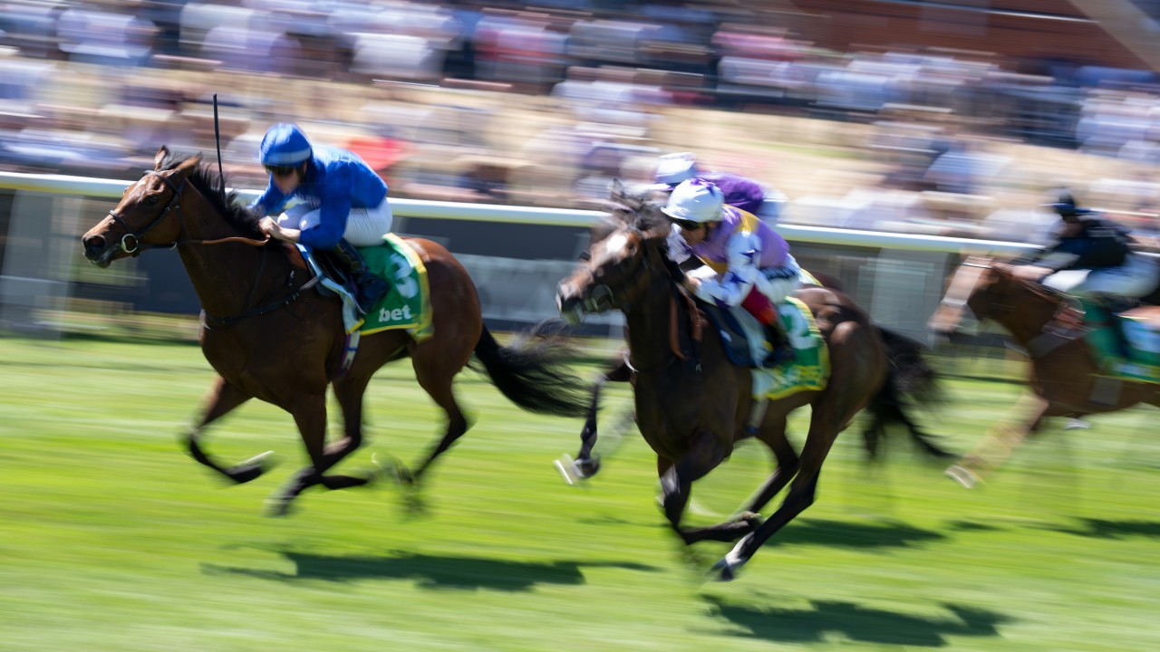 Queen mary stakes betting line bestbetting rugby league