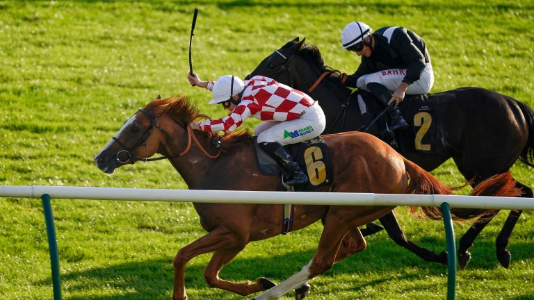 Jockeys will still be able to use the whip in the forehand position following amendments