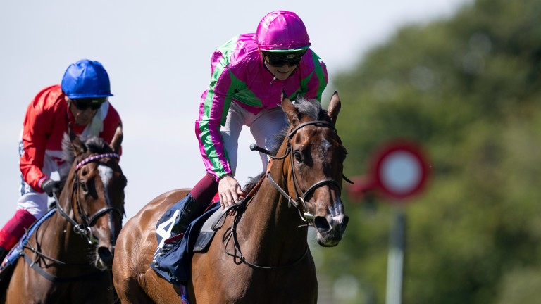 Group 1 Falmouth Stakes winner Prosperous Voyage is a Goffs Orby graduate