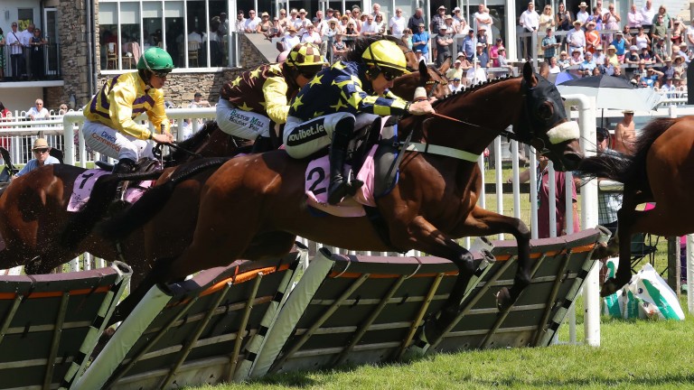 Horse Racing News | Latest Racing Updates | Racing Post