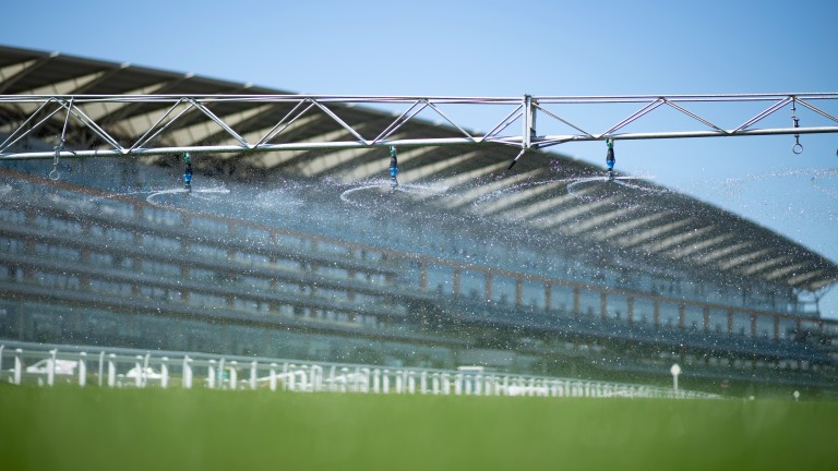 The home straight is watered ahead of the Royal meeting Ascot 14.6.21 Pic: Edward Whitaker