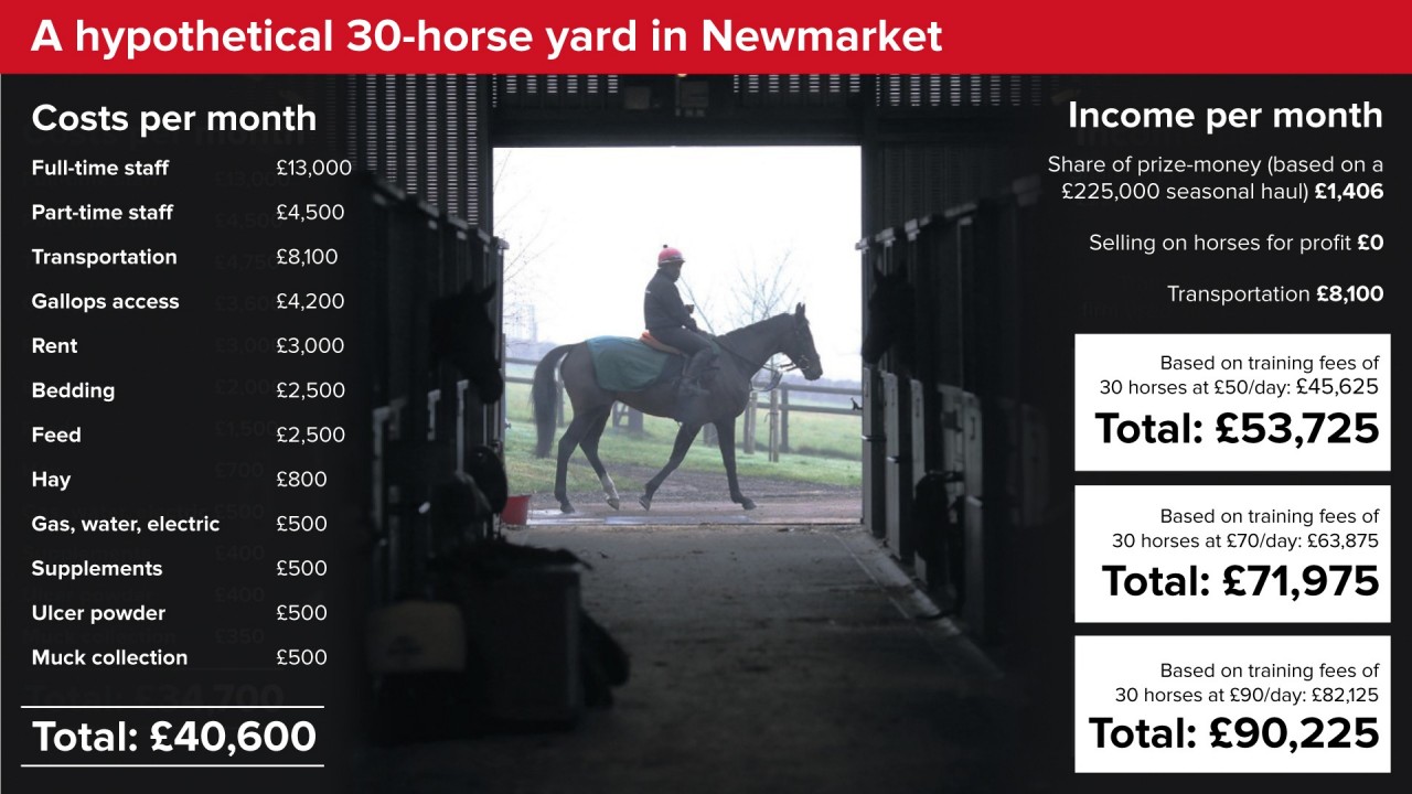 rich-poor-or-somewhere-in-between-how-much-does-a-trainer-really-earn-horse-racing-news-racing-post