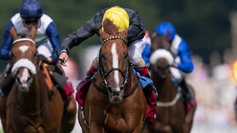Gallant loser: Stradivarius finishes second in the Goodwood Cup and was unlucky not to win according to owner Bjorn Nielsen
