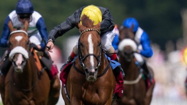 Stradivarius finishes 2nd in the Goodwood CupGoodwood 26.7.22 Pic: Edward Whitaker