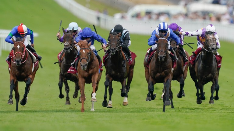 Baaeed had his six Sussex rivals well held up the straight