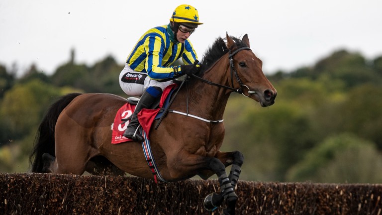 Busselton: would be the first five-year-old winner of the Coral Gold Cup