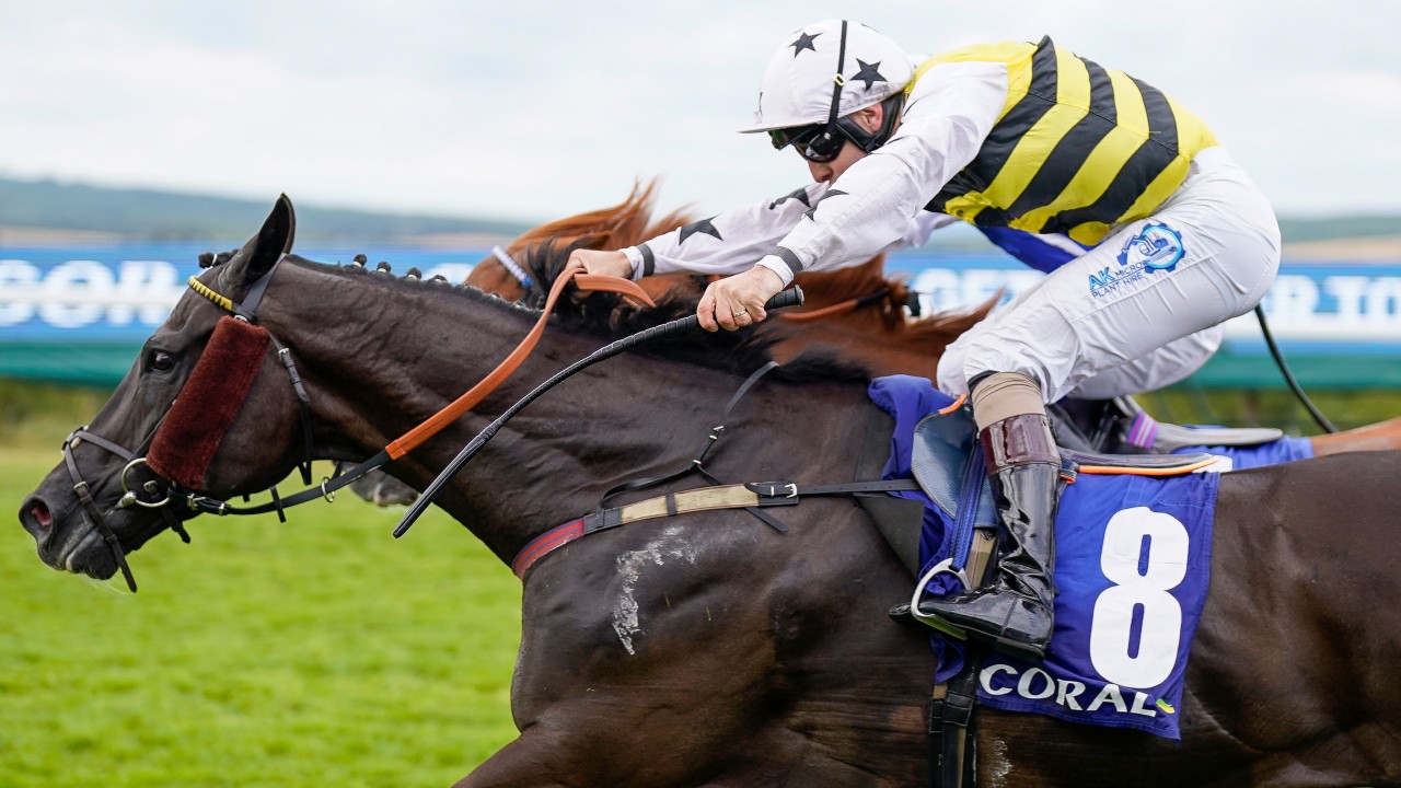 Commanche Falls bids for first Stewards' CupAyr Gold Cup double in 26
