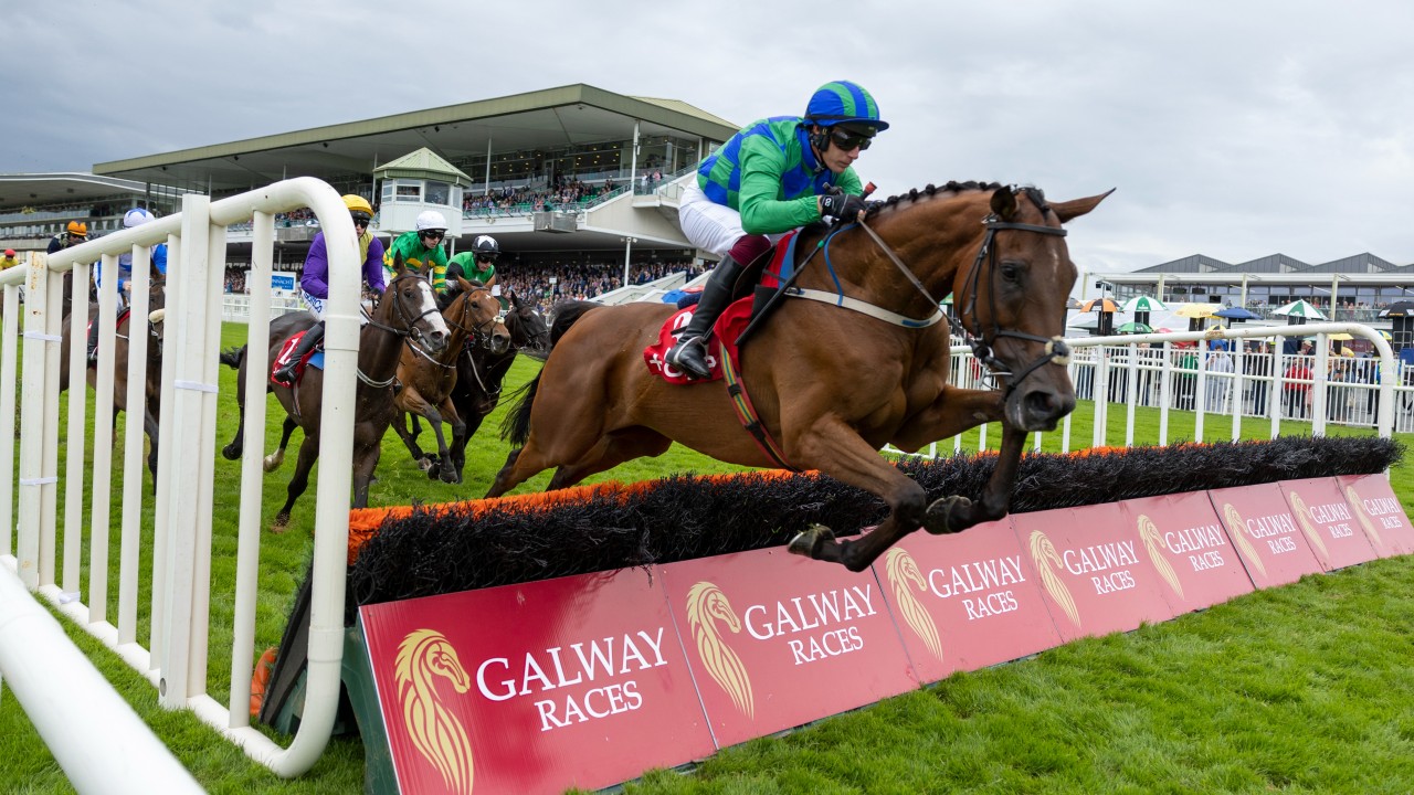 fairyhouse horse racing results