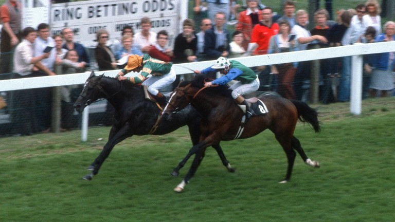 Kalaglow and Greville Starkey (left) just get the better of Assert and Pat Eddery in the 1982 King George at Ascot