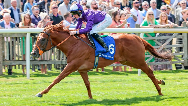 July Stakes winner Persian Force has been one of the season's leading two-year-olds