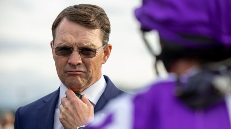 Aidan O'Brien looks to have a nice colt on his hands with Adelaide River