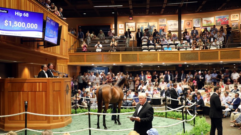 Summer Wind Equine's Uncle Mo colt tops the opening day of the Saratoga Yearling Sale at $1.5 million