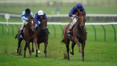 NEWMARKET, ENGLAND - OCTOBER 21: Adam Kirby on board Hurricane Lane (right) on their way to winning the British EBF Future Stayers Novice Stakes at Newmarket Racecourse on October 21, 2020 in Newmarket, England. (Photo by Tim Goode-Pool/Getty Images)