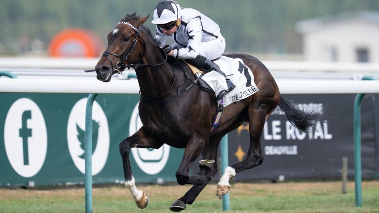 Oscula and George Boughey forge to victory in the Group 3 Prix de Lieurey at Deauville