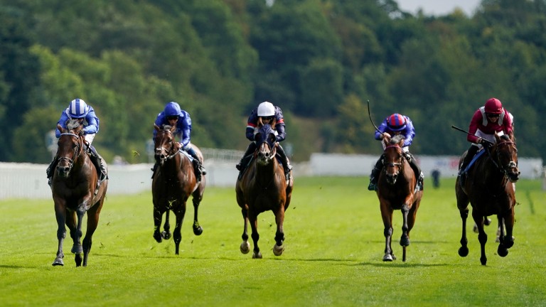 Baaeed (blue and white) left his five Juddmonte International rivals floundering in behind